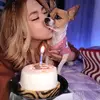 Sharon - @sharonrooby - TikTok