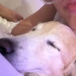 Sharon Ocampo - @s_aros13 - Instagram