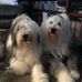 Sharon Ocheltree - Facebook