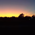 Sharon Ochs Behnke - @sharon.o.behnke - Instagram