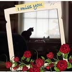 Sharon Ochsenbein - @ochsenbeinsharon - Instagram