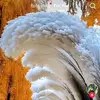 sharonodek - @sharonodek - TikTok