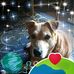 Sharon ODell - Facebook