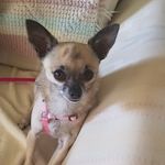 Sharon O'Dell - @twoodells - Instagram