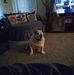 Sharon Otley - Facebook