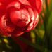 Sharon Offutt - Facebook