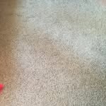 Sharon Ogata - @sharonogata - Instagram