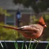 ogleviesharon7 - @ogleviesharon7 - TikTok