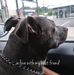 Sharon Ogle - Facebook
