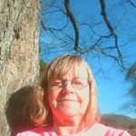Sharon Ogren - @sharonogren - Instagram
