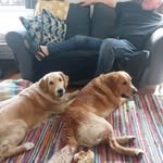 Sharon Nolan - @sharonjnolan - Instagram