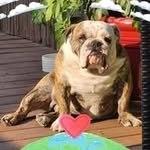 Sharon Olds - @scollett36 - Instagram