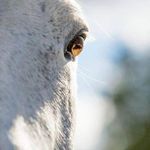 Sharon Olesen - @olesen.sharon - Instagram