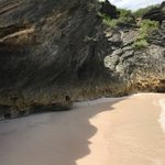 Sharon Olinger - @rolinge2 - Instagram