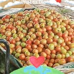 Sharon Oliva - @sharon5753 - Instagram