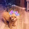 Sharon Olivas960 - @soshadyitsridiculous - TikTok