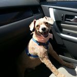 Sharon Olivas - @so_shady_its_ridiculous - Instagram