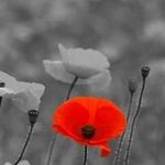 Sharon Oliver - @sharonoliver4606 - Instagram