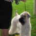 Sharon Olney - Facebook