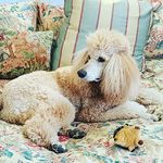 Sharon Olson - @sharonolson1 - Instagram