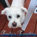 Sharon Omand - Facebook