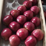 Organic Farmer Store  Pure Himalyan Bliss - @chaandbagh_orchards_sharontha - Instagram