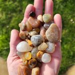 Sharon Orcutt - @sharon.mcmahan - Instagram
