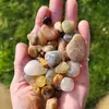 Sharon Orcutt - @sharon.orcutt - TikTok