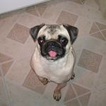 Sharon Orlowski - @sharonorlowski - Instagram