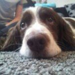 Sharon Ormes - @sharonormes - Instagram