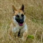 Sharon Orr - @sharonorr6 - Instagram