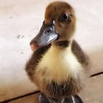 Sharon Morrison - @sharon.morrison.5070276 - Instagram