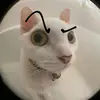 SharonOrtega - @h96291503g1 - TikTok