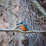 Sharon Osterman - @osterman9575 - Instagram