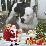 sharon padgett dailey - @sharondailey34 - Instagram