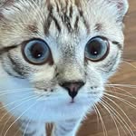 Sharon Padgett Patton - @p.oppypeta_l39 - Instagram