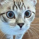 Sharon Padgett Patton - @pop.pype.tal19 - Instagram