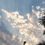 Sharon Palacios - @sharonpalacios427 - Instagram