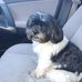 Sharon Pankey - Facebook