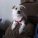 Sharon Pankey - Facebook