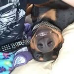 Sharon Parady - @paradysharon - Instagram