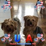 Sharon Parent - @parent4458 - Instagram