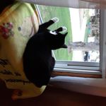 Sharon Parent - @sharon_parent38 - Instagram