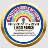 Sharon_Parish_likosi - @sharon_parishlikosi - TikTok