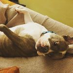 Sharon Parkes - @shparkes - Instagram