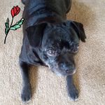 Sharon Parkes - @sharon.parkes.351 - Instagram