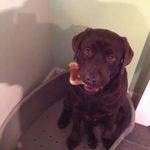 Sharon Parkes - @shazparkes - Instagram
