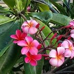 Sharon Parmer - @sweetparmer - Instagram