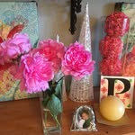 Sharon Cox Parrotta - @sharonparrotta2 - Instagram