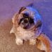 Sharon Parr - Facebook